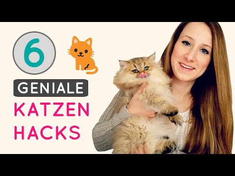 KATZEN LIFE HACKS || 6 geniale DIY's Tipps & Tricks und Spielzeug selber machen - deutsch - CUISINI