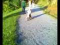 2-wheeler-3