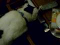 Josito open a gabet, and he took his mouse