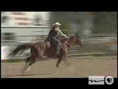 In Wisconsin: River Falls rodeo