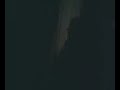 porra javis