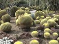 Huntington Library Gardens