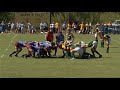 Scrums Scrums