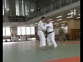 Nage-no-Kata, the good bits