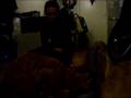 videos de poesjes