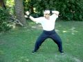 quan fa ye zhang fa punches and palms