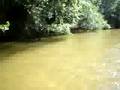 videos de caida de jose
