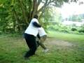 videos de Checkerboard II