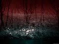 Ulver, lost in moments