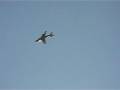 EA-6B　オ-バーヘッド