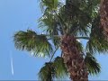 Little White UFO in Plane Sight!