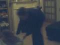 videos de lil girl age 0 goin crazy in her car no sound :[