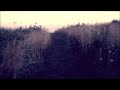 Sonic Area - Music For Ghosts - Official trailer teaser # 1