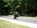 short wheelies 