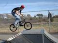 videos de rosemount skatepark