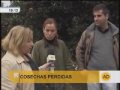 Millones de kilos de naranja perdidos