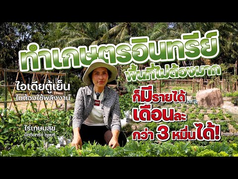 ทำเกษตรอินทรีย์พื้นที่ไม่ต้องมากก็มีรายได้เดือนละกว่า 3 หมื่นได้