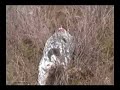 Kramer, Corry, and Tim Hunting Birds