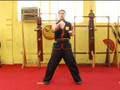 Wing Chun 1st Form - Sil Lim Tao