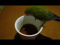 Click here to watch this video ami水遊び