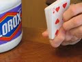 clorox-bleach-for-playing-cards.html