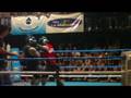 [ Bichos 2008 ] Funcion de BOX Parte 1