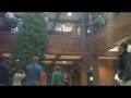 videos de Beta's Christmas Tree Round 1