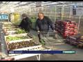 Reportage France 3 - Serres des Hunaudières (ADAPEI de la Sarthe)