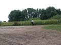 Eine stille Reiterin Eine stille Reiterin