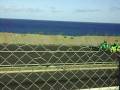 Muscle Out of nevis