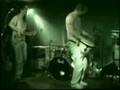Caroline's Capuchin - Paragon