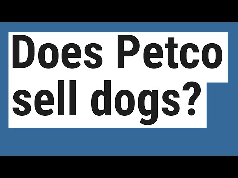 Does Petco sell dogs?