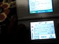windows xp on nintenod ds windows xp on nintenod ds