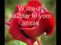 gowaya hat3eesh