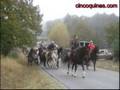 Sabugal - Soito - Passeio Equestre