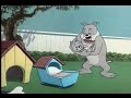 Tom and Jerry