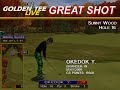 Golden Tee Great Shot on Sunny Wood!