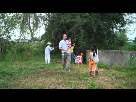 how to harvest tamarind