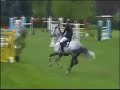 Cero stallion Pioltello 2008