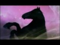 Horses // Chillin // Experiment!