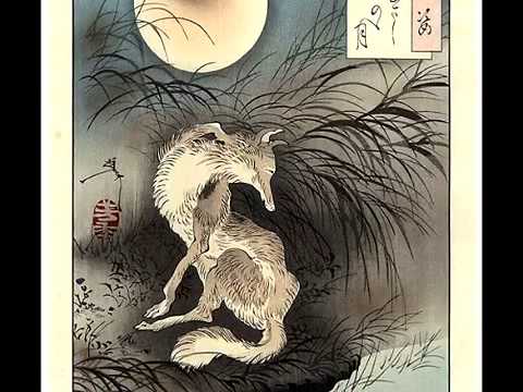 NINETAILFOX