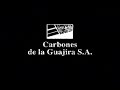 ecologia solidaria