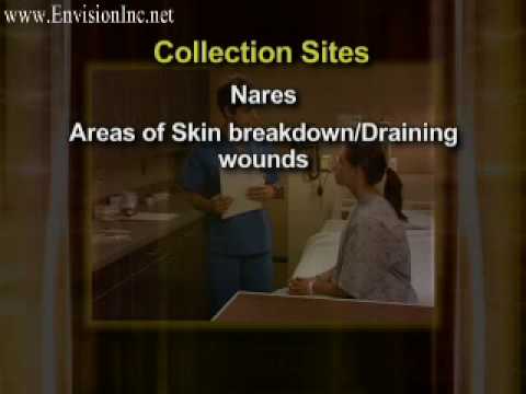 how to collect specimen for mrsa