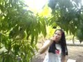 In Lychee Gaden in Ampawa-Thailand