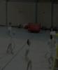 SVF Volleyball