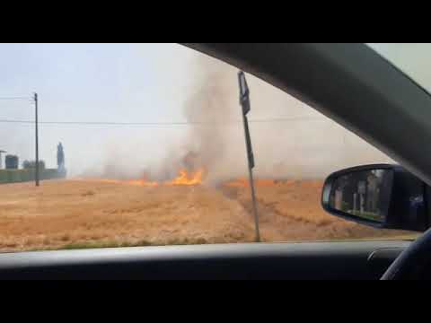 Incendio di sterpaglie a Cesa - Video da un nostro lettore