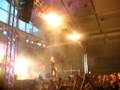 Kupicha live