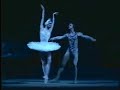 Bolshoi Swan Lake - Pas d'action of Odette and Sigfried 1