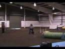 Agility Darwin Dog Master Snooker Leg1