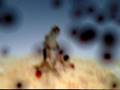 videos de reach top of fallout 3 map